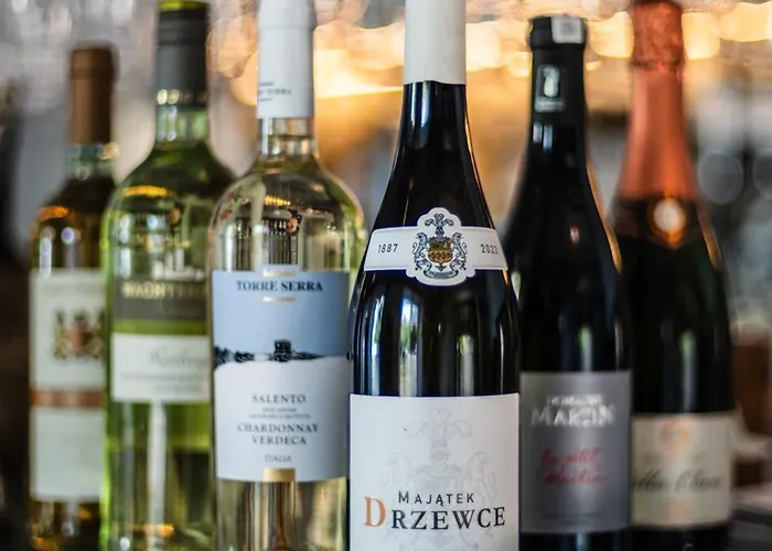 Bibosz - W Samym Centrum